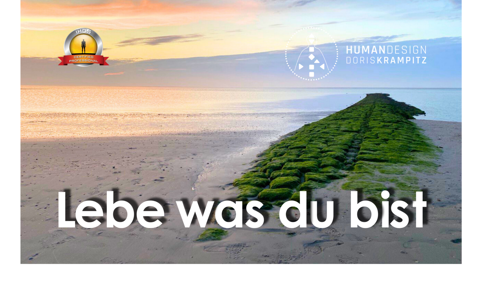 Human Design System Bremen Header - lebe was du bist